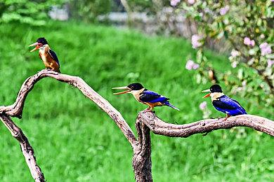 任天堂3DS发布更新 距离上次更新已有9个月